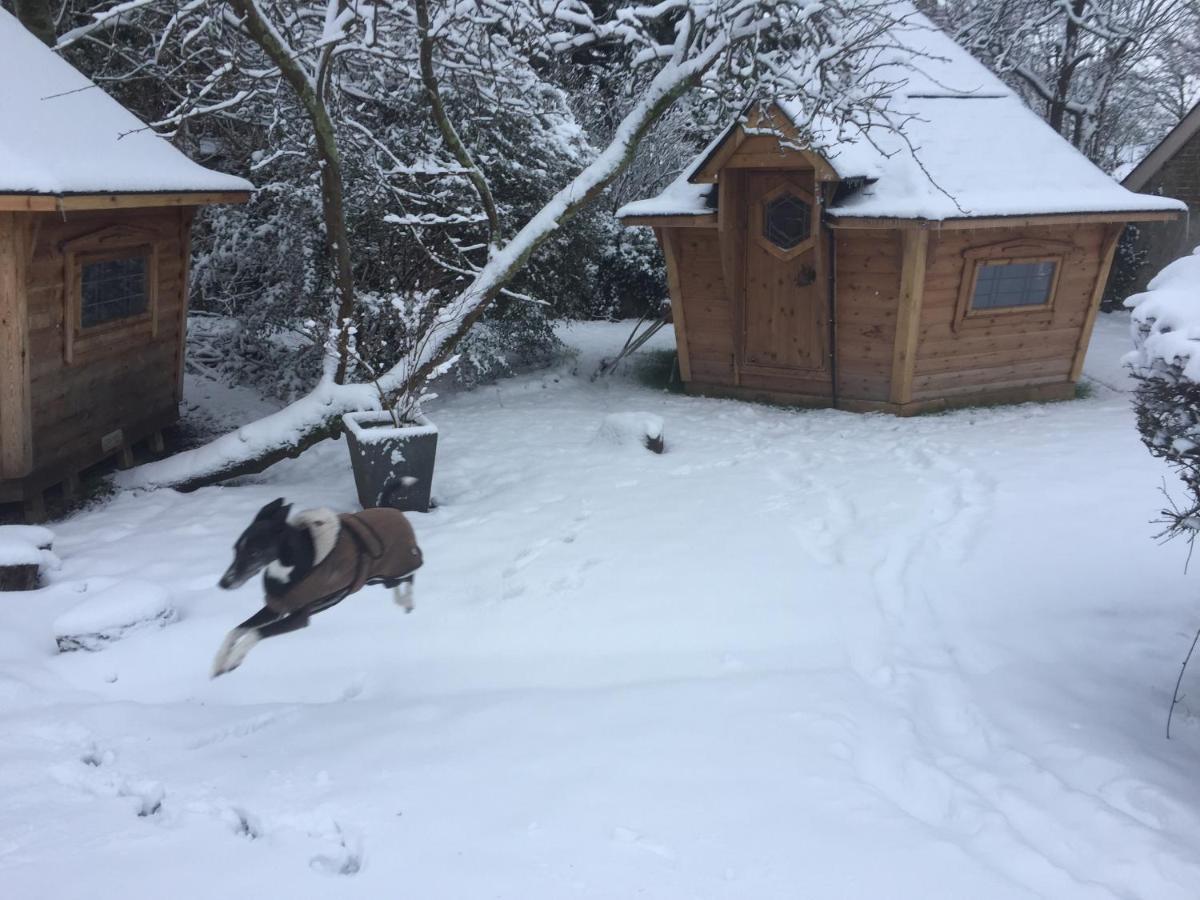 Culvers House Cattistock Eksteriør bilde